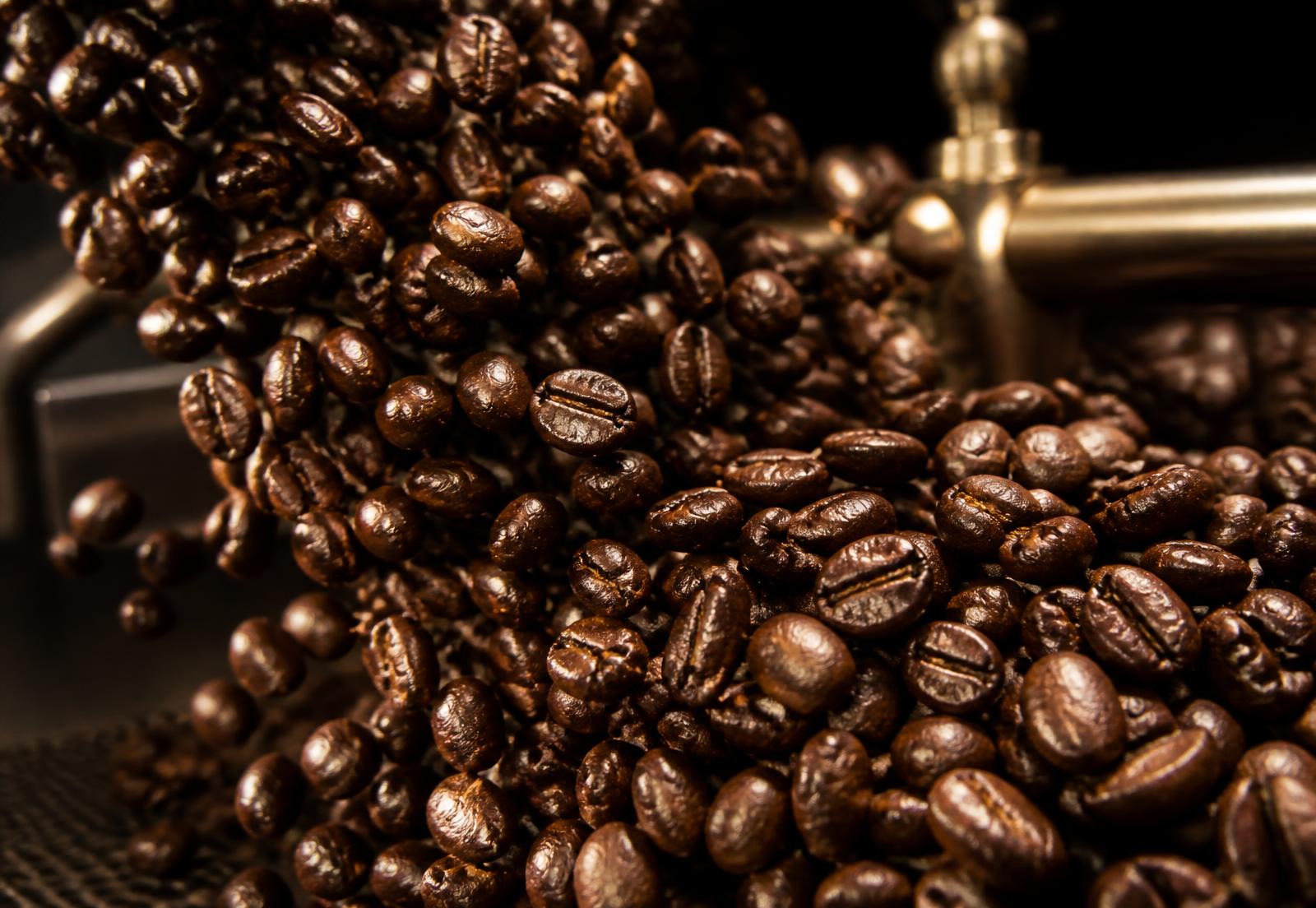 Close-up of glossy dark roasted coffee beans in a cooling tray